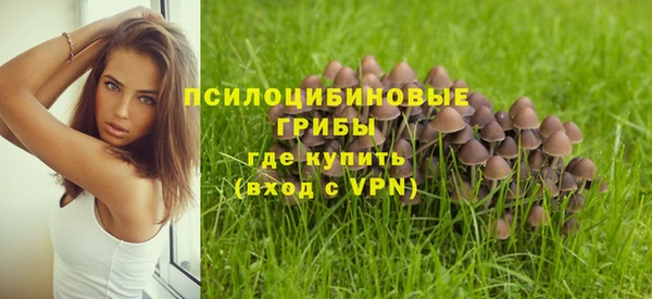 гидра Армянск