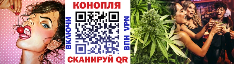 мориарти какой сайт  что такое наркотик  Волхов  Бошки марихуана Ganja 
